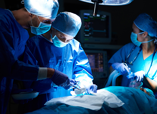 AnatomyAdvances 2026: Bridging Clinical and Surgical Anatomy for Medical Progress