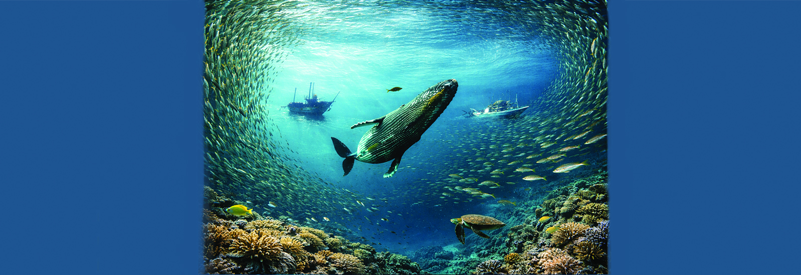 BlueHorizons 2026 - Sustainable Solutions for Fisheries and Aquatic Sciences