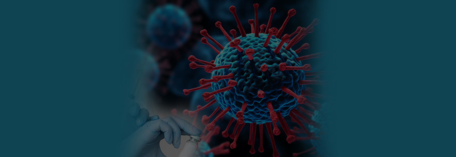 International Conference on Chronic Infectious Diseases and Vaccinations