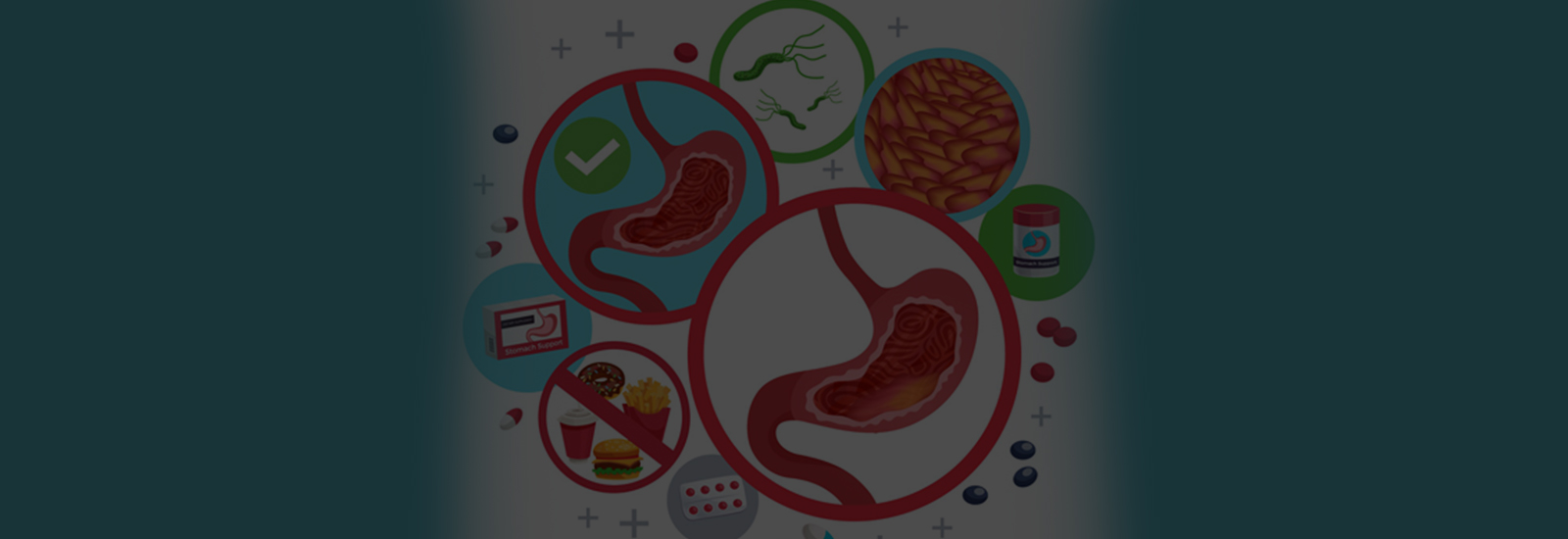 International Conference on Gastroenterology