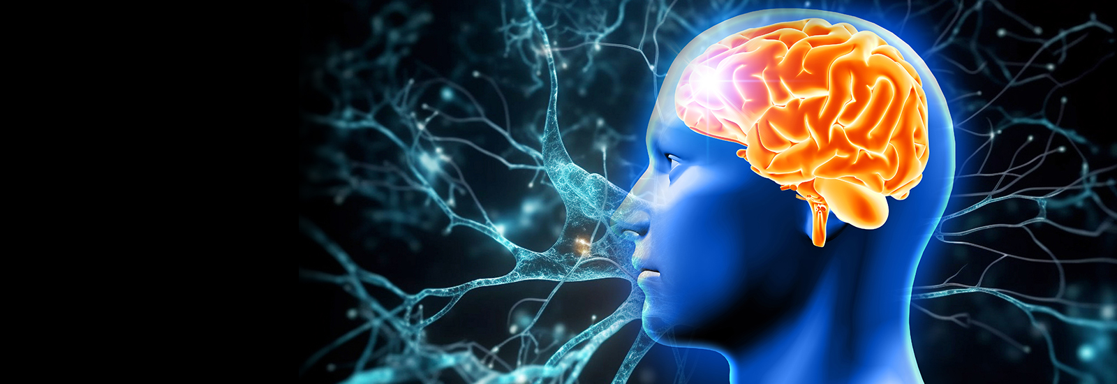 International Conference on Neurological Disorders and Stroke