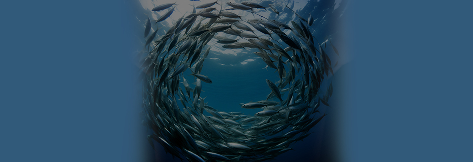 MarineFuture 2025 - Aquaculture and Marine Ecosystem Sustainability