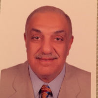 Tarek Mohamed Kamal Motawi
