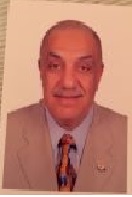 Tarek Mohamed Kamal Motawi